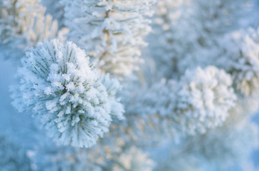 Similar image 1620084