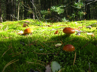 Similar image 1620145