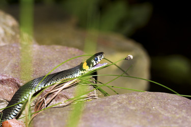 Similar image 1620206