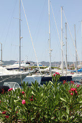 Similar image 1620525