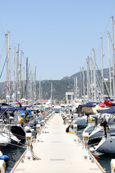 Similar image 1620528