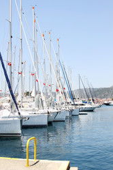 Similar image 1620529