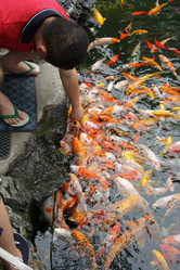 Similar image 1620533