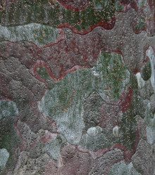 Similar image 1620535