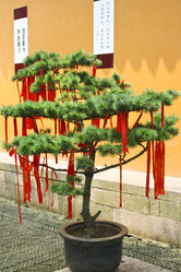 Similar image 1620652