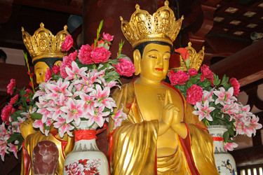 Similar image 1620656