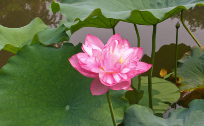 Similar image 1620666