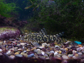 Similar image 1620962