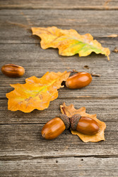 Similar image 1620988