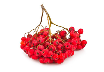 Similar image 1620990