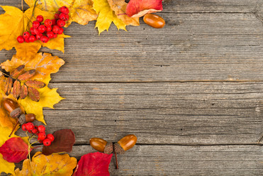 Similar image 1620992