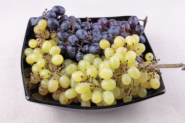 Similar image 1621016