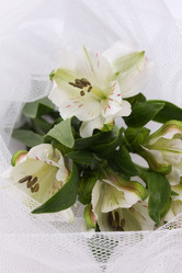 Similar image 1621024