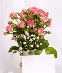 Similar image 1621025