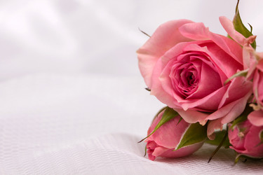 Similar image 1621026