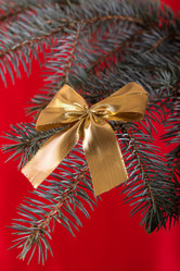 Similar image 1621032