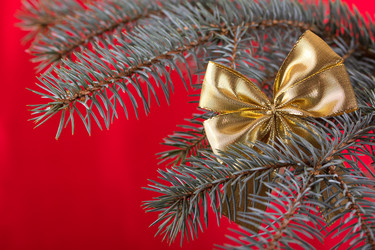 Similar image 1621033