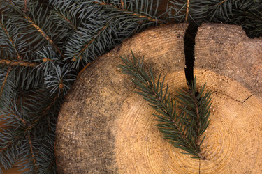 Similar image 1621037