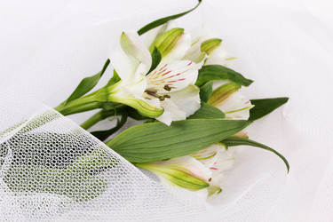 Similar image 1621063