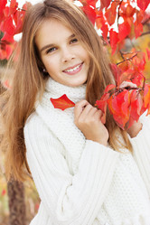 Similar image 1621064