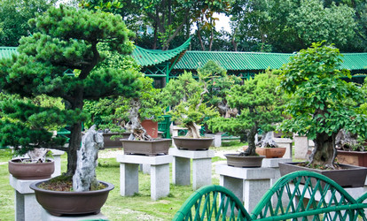 Similar image 1621252