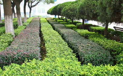 Similar image 1621417