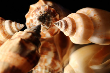 Similar image 1621564