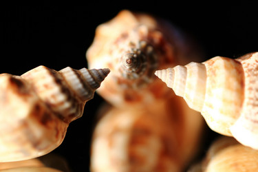 Similar image 1621584