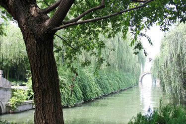 Similar image 1621656