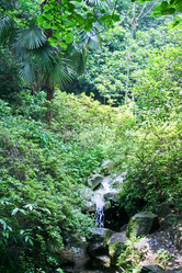 Similar image 1621660