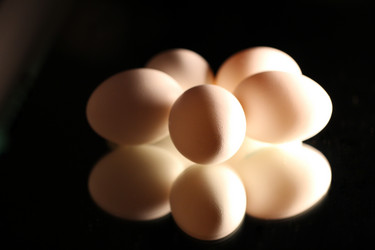 Similar image 1621687