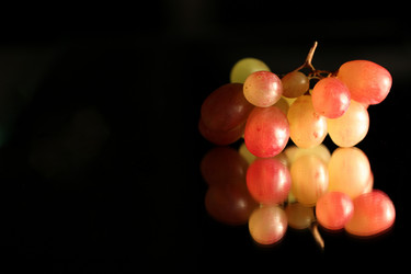 Similar image 1621689