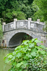 Similar image 1621695