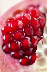 Similar image 1621706