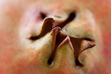 Similar image 1621724