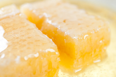 Similar image 1621725