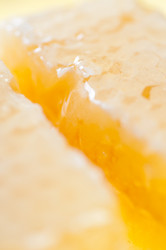 Similar image 1621726