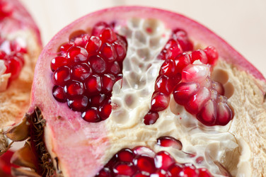 Similar image 1621736