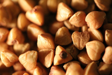 Similar image 1621744