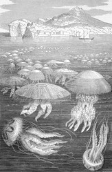 Similar image 1621872