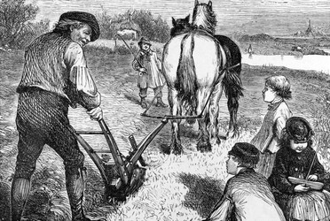 Similar image 1621964