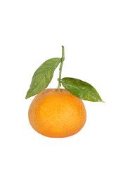 Similar image 1622503