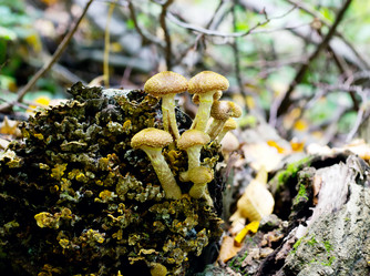 Similar image 1622583