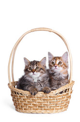 Similar image 1622608