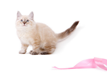 Similar image 1622612