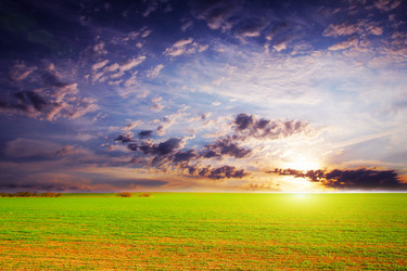 Similar image 1622671