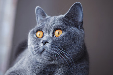 Similar image 1622707