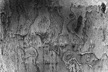 Similar image 1622736