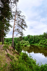 Similar image 1622741