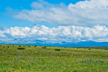 Similar image 1622817